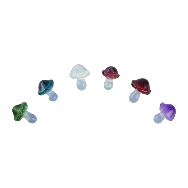 These are Glass Mushroom Trinkets from Technicolor Tony available at Handmade Glass Co. Featuring ghost colored stems with vibrant caps these are a fun glass addition to any space.